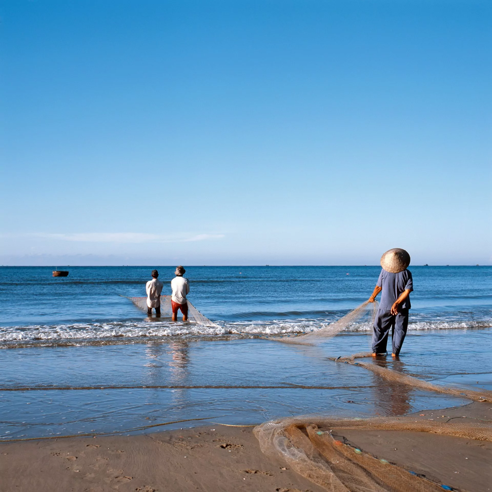 View full-size image